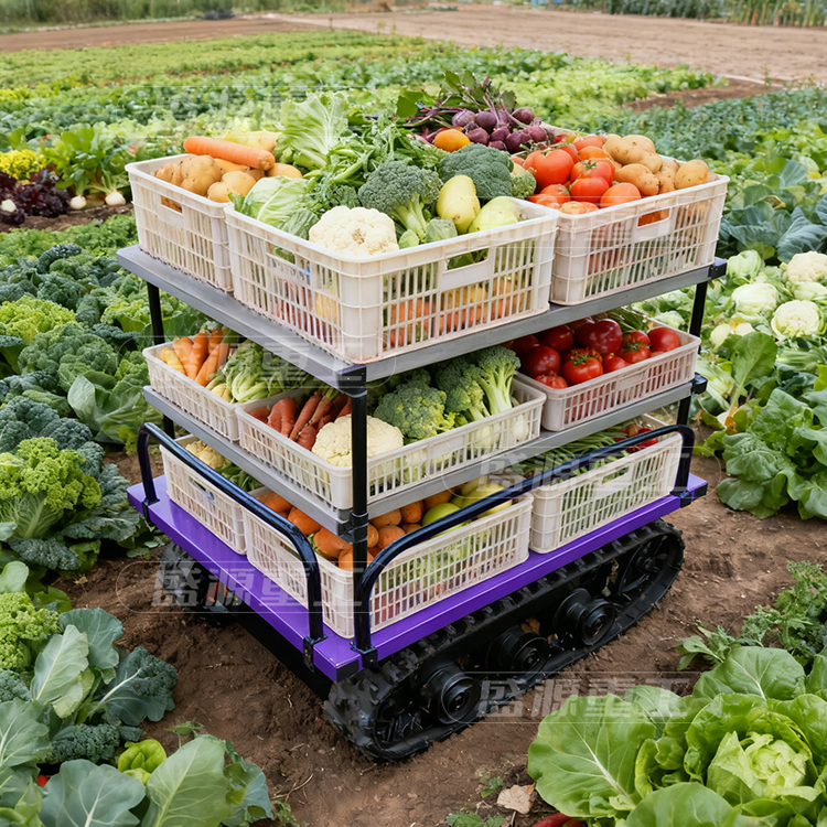 大棚履带蔬菜运输车